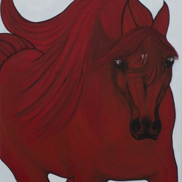 Red Arabian Passion 3